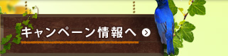 キャンペーン情報へ