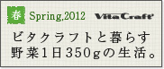 ビタクラフトと暮らす野菜1日350gの生活