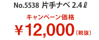 キャンペーン価格 12,000円(税別)