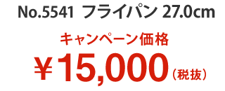 キャンペーン価格 15,000円(税別)