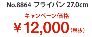 キャンペーン価格 12,000円(税別)