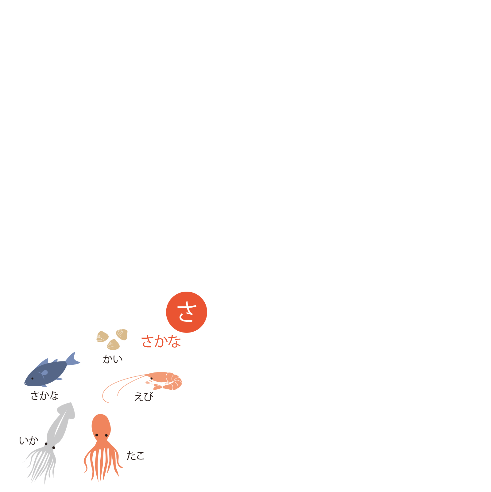 「さ」魚の分類図