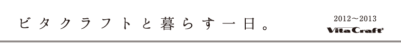 ビタクラフトと暮らす一日