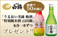 抽選で50名様に「うるおい美滴梅酒」「特別純米酒山田錦」を各１本ずつプレゼント