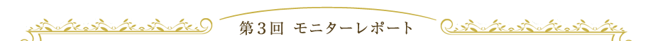 第3回モニターレポート