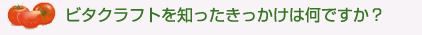 ビタクラフトを知ったきっかけは何ですか?