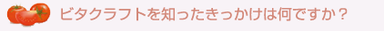 ビタクラフトを知ったきっかけは何ですか?