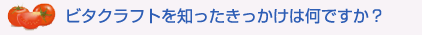 ビタクラフトを知ったきっかけは何ですか?
