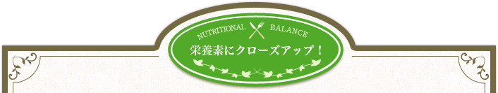 栄養素にクローズアップ！